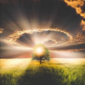 Meet your Posher, Jesse